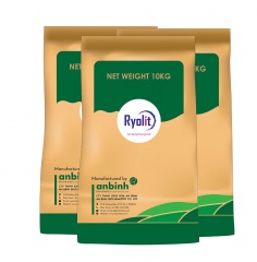 Ryolit
